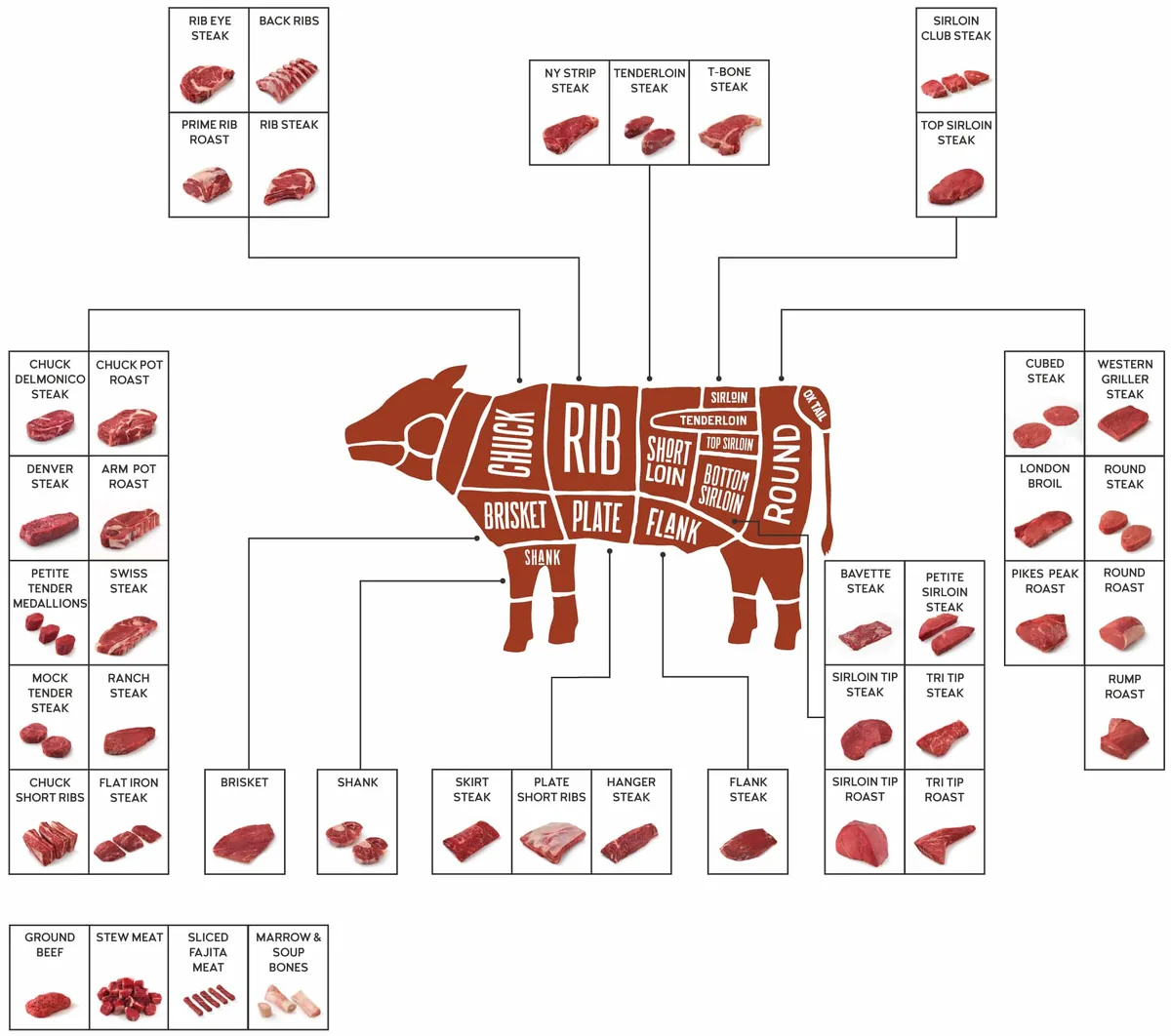 beef chuck primal diagram