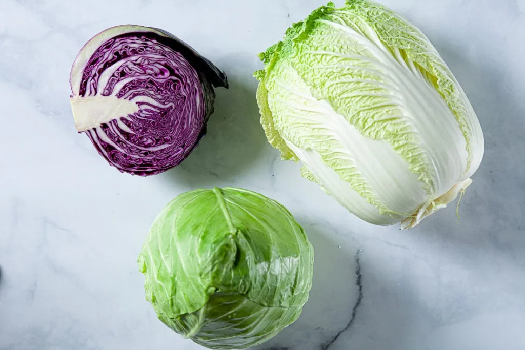 green napa red cabbage