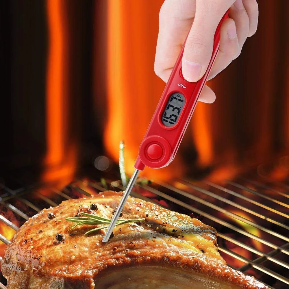 instant read thermometer fish