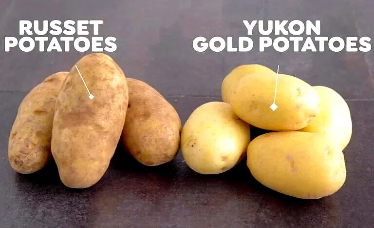 Yellow potato vs Russet potato