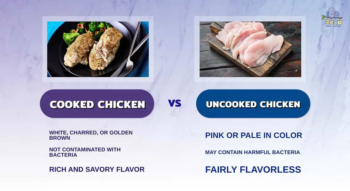air fryer food safety risk
