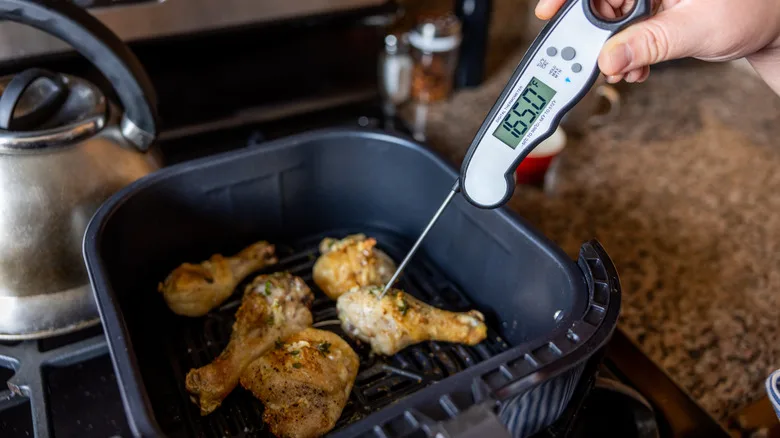 air fryer interrupted meat cook safety