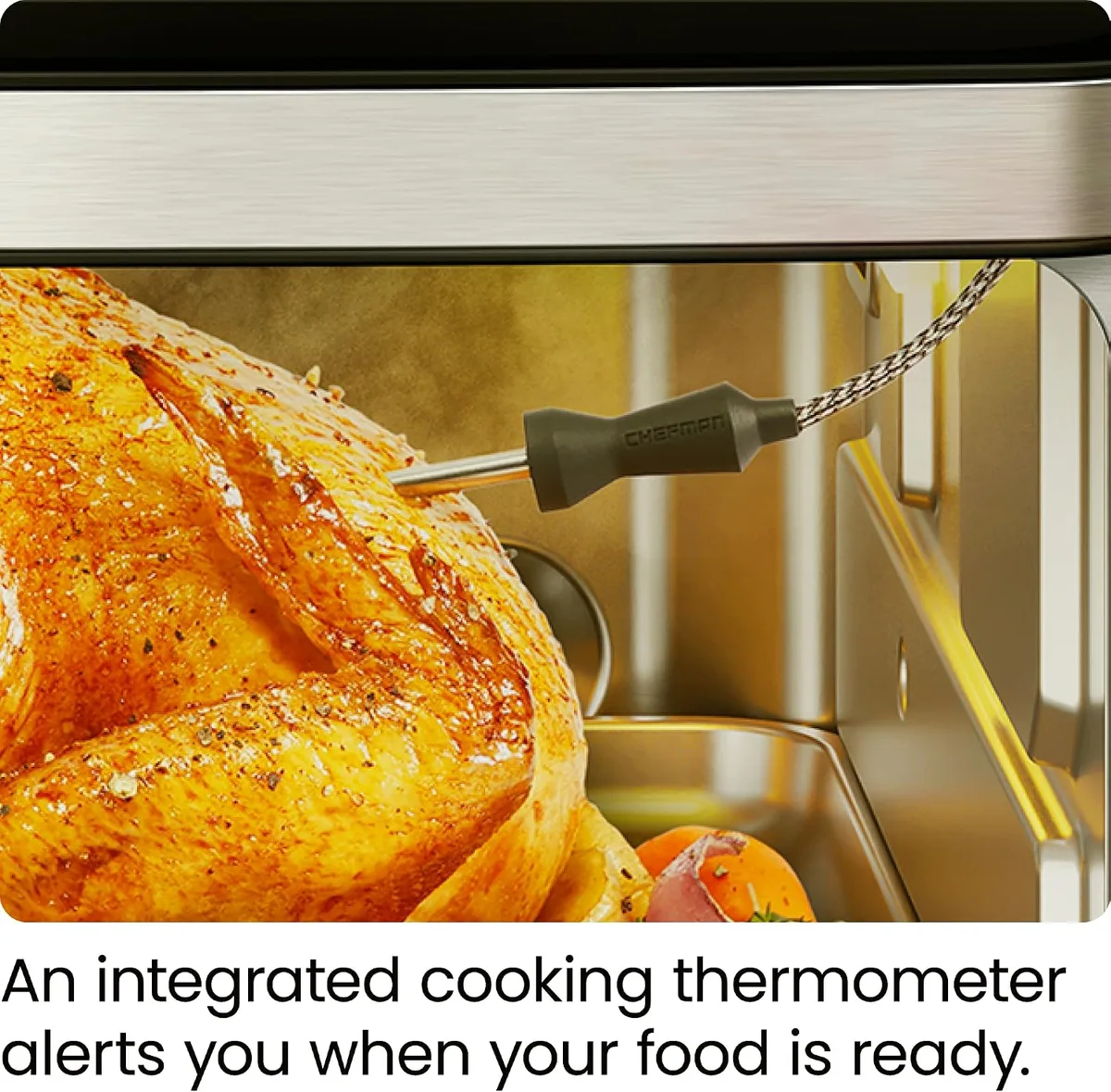 air fryer probe tip placement