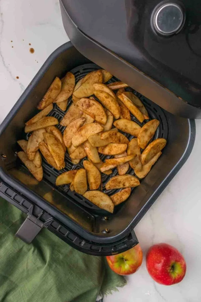 How to Use an Air Fryer Dehydrator Rack for Perfect Drying