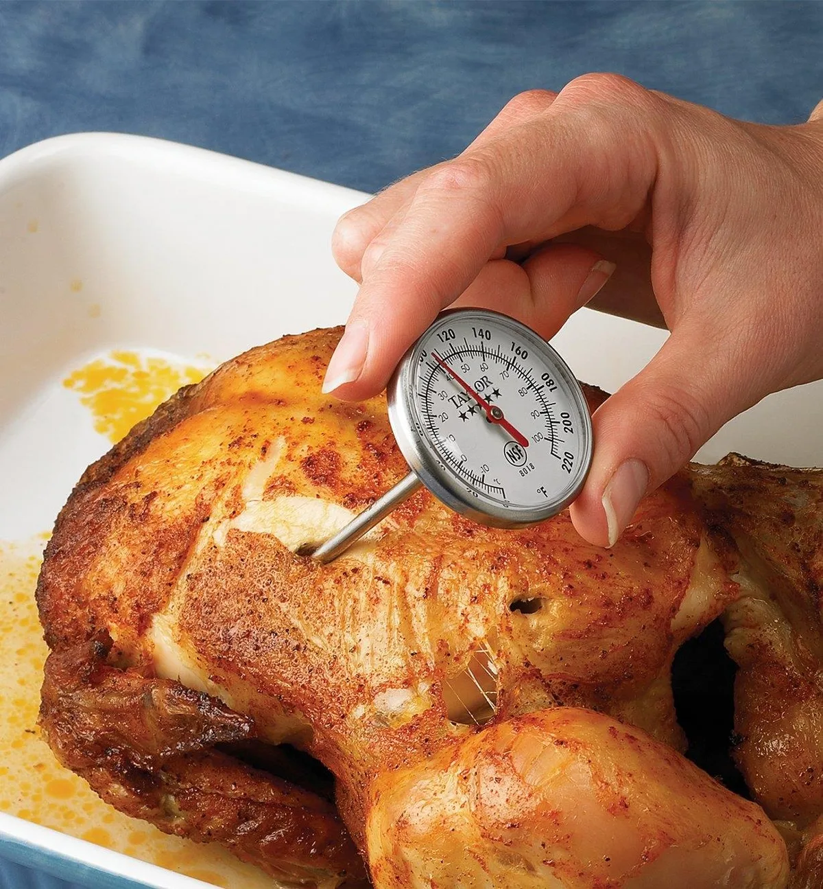 meat thermometer frozen chicken